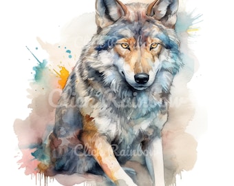 Wolf Watercolor Clipart: 12 PNG Illustrations (Digital Download)