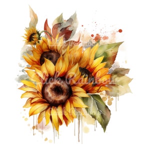 Sunflower Clipart, 12 Sunflower PNG, Sunflower Wall Art, Sunflower Painting, Sunflower Illustration, Sunflower Graphic, Digital Download