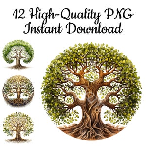 Tree Of Life Clipart, 12 Tree Of Life PNG, Tree Of Life Digital Art, Tree Of Life Illustration, Kabbalah Sublimation, Instant Download