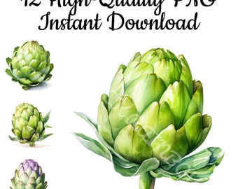Artichoke Clipart: 12 PNG Art Prints, Commercial Use (Digital Download)
