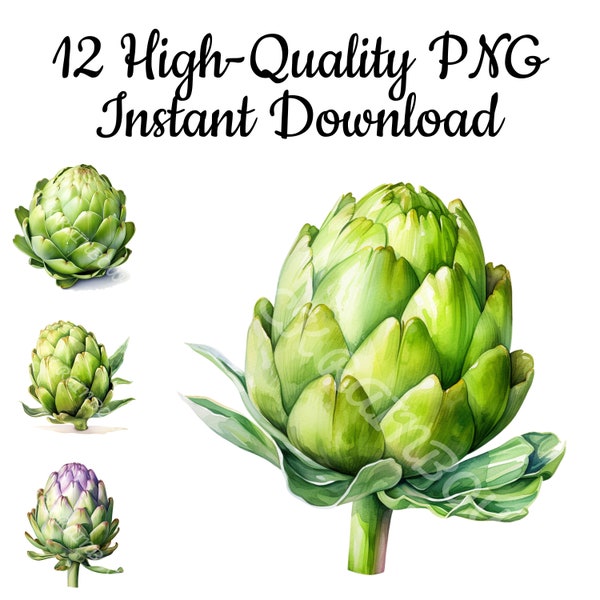 Artichoke Clipart, 12 Artichoke PNG, Artichoke Watercolor, Artichoke Illustration, Artichoke Design, Artichoke Digital Art, Instant Download