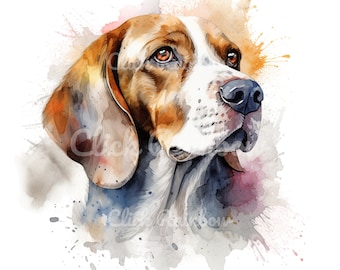 Beagle Clipart, 12 Beagle PNG, Beagle Illustration, Beagle Painting, Beagle Design, Beagle Wall Art, Beagle Digital Art, Instant Download