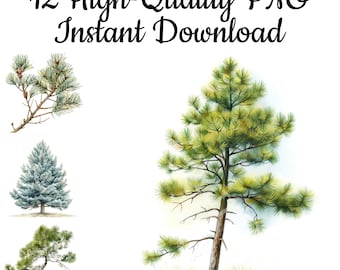 Pine Tree Watercolor Clipart: PNG Illustrations for Wall Art (Instant Download)
