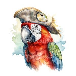 Pirate Parrot Clipart, 12 Parrot PNG, Watercolor Parrot, Parrot Wall Art, Parrot Graphics, Parrot Digital, Parrot Canvas, Parrot Download