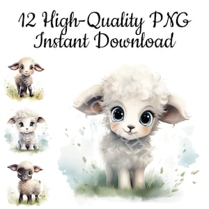 Cute Baby Sheep Clipart, 12 Cartoon Sheep PNG, Sheep Illustration, Sheep Sublimation, Sheep Wall Art, Sheep Drawing, Sheep Download