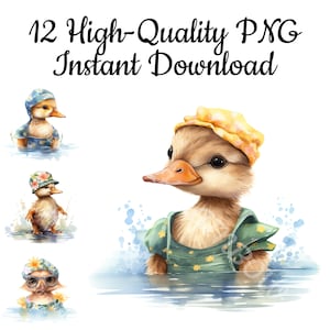 Duckling in Swimsuit Clipart, 12 Duckling PNG, Duckling Illustration, Cute Baby Duck Painting, Duck Kawaii Sublimation, Instant Download