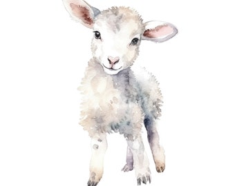 Lamb Watercolor Clipart: 12 PNG Illustrations (Digital Download)