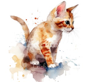 Watercolor Kitten Clipart: 12 PNG Illustrations (Digital Download)