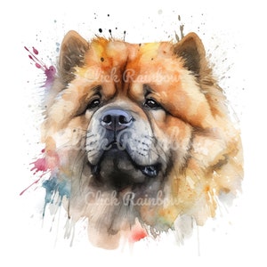 Chow Chow Clipart, 12 Chow Chow PNG, Chow Chow Art Print, Chow Chow Painting, Chow Chow Illustration, Chow Chow Digital, Digital Download
