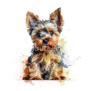 Yorkshire Terrier Puppy Clipart, 12 Yorkie PNG, Yorkie Illustration, Yorkie Art Print, Yorkie Wall Art, Yorkie Watercolor, Instant Download