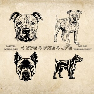 American Pitbull Terrier SVG Bundle, PNG, Cute Dogs Clipart, Hand Drawn Dog Vector Illustration, SVG Files For Laser Engraving