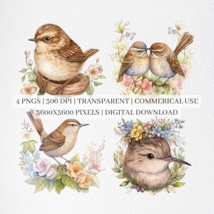 Clipart Wren, Pliki PNG Ptaków Do Sublimacji, Clipart Kwiatowy Ptak, Wydruk Wren, Wydrukowana Sztuka Ścienna, Użytek Komercyjny