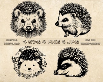 Hedgehog SVG Bundle, PNG, Hedgehog Clipart, Hand Drawn Hedgehog Vector Illustration, SVG Files For Laser Engraving