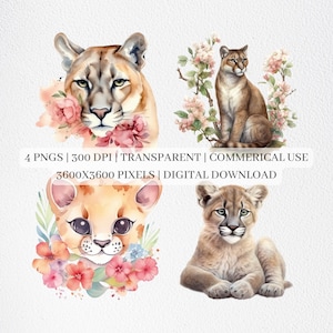Aquarelle Cougar Clipart, Cougar PNG, Clip Art Animal sauvage pour pépinière Wall Art, Scrapbooking Digital Téléchargement instantané Utilisation commerciale