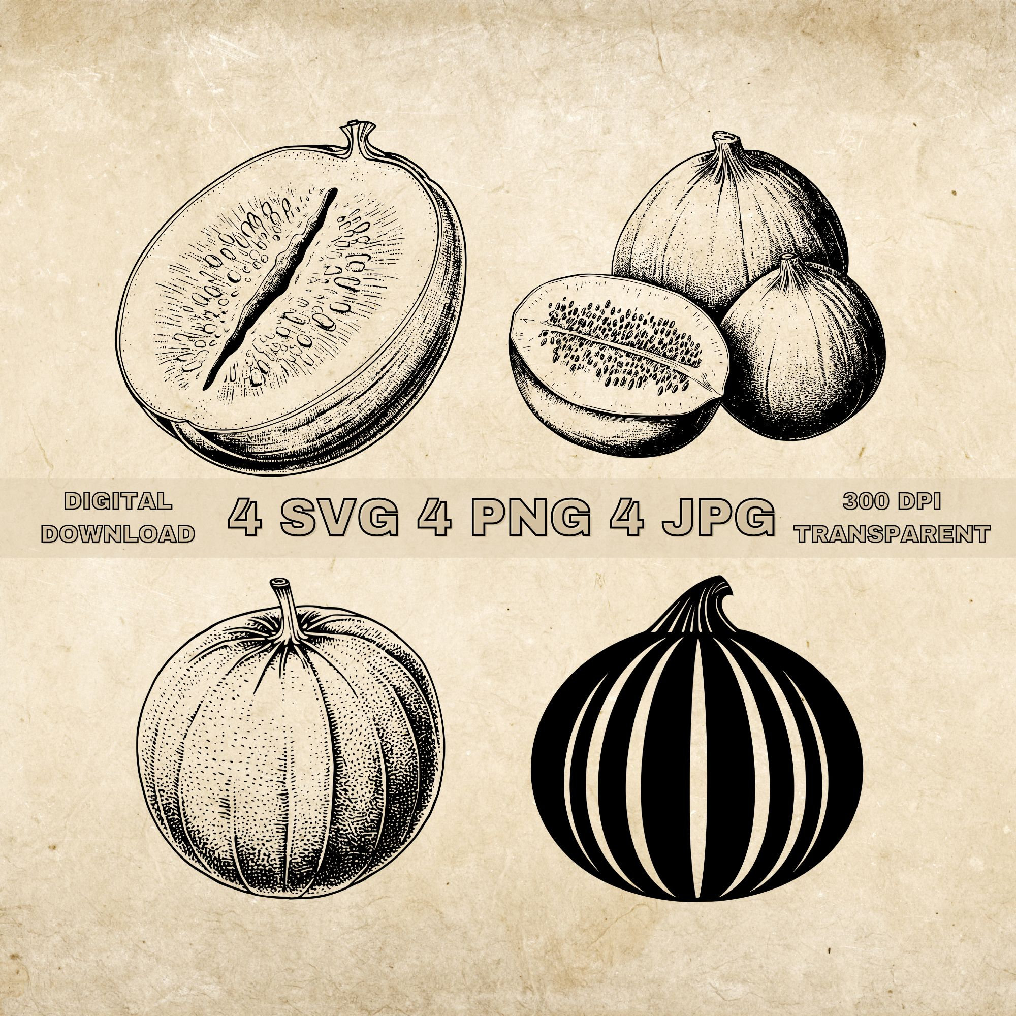 Cantaloupe Clipart - Etsy, image size:2000x2000