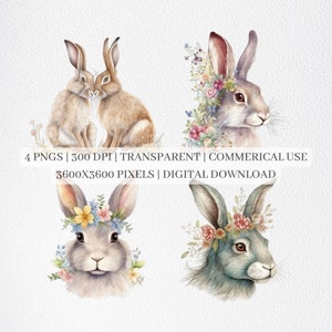 Floral Hare Clipart, Hare PNG Files For Sublimation, Hare Clip Art, Cute Hare Prints, Printable Wall Art, Commercial Use