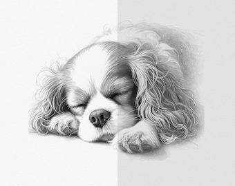 Fichier PNG pour sublimation Cavalier King Charles Spaniel dormir pour chemise et tasse, illustration de dessin, téléchargement numérique