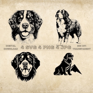 Berner Sennenhund SVG Bundle, PNG, süße Hunde Clipart, handgezeichnete Hund Vektor Illustration, SVG-Dateien für die Lasergravur