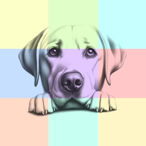 Labrador Retriever PNG Sublimation File For Shirt & Mug Sketch Drawing Graphic, Digital Download