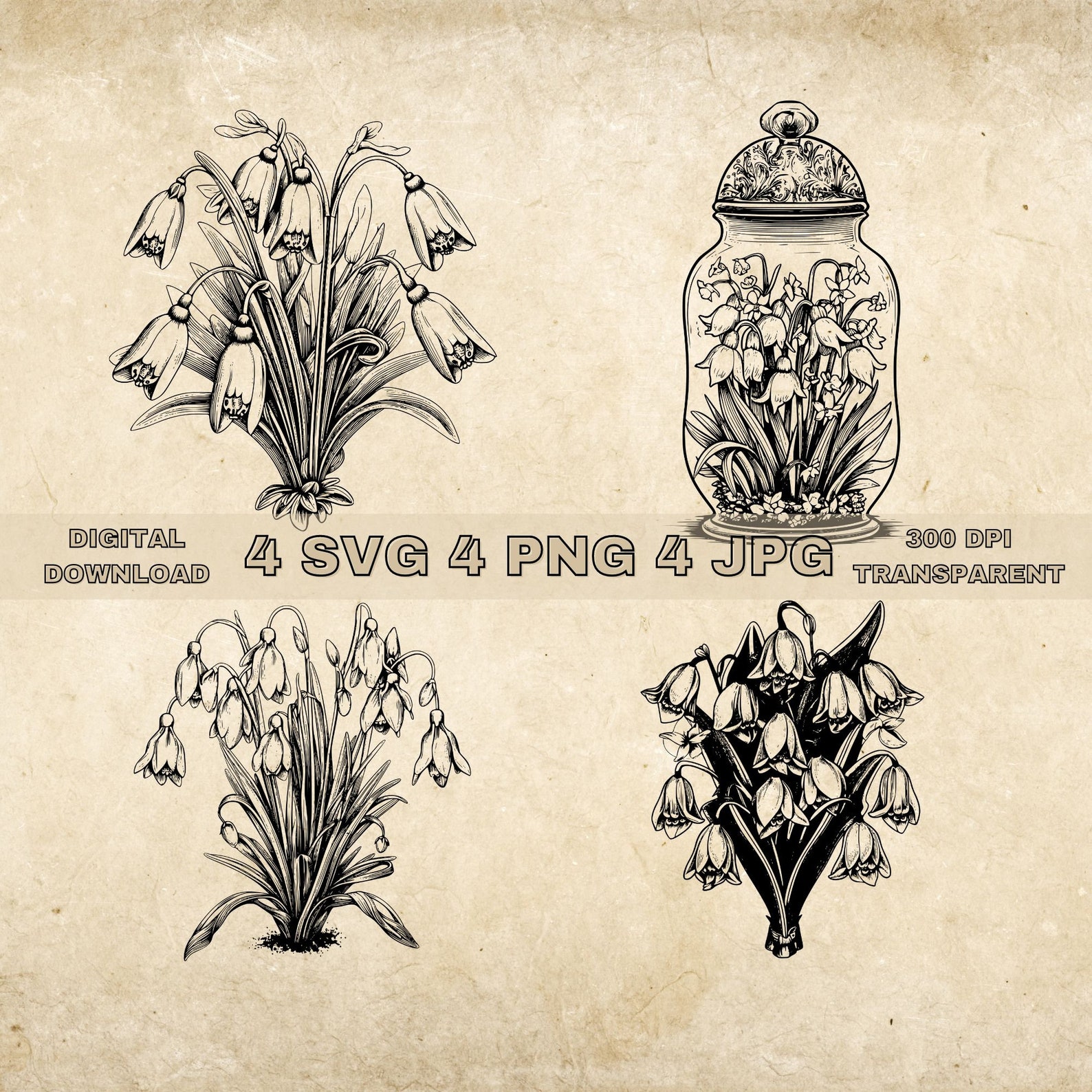 Snowdrop SVG Bundle, PNG, Floral Clipart, Hand Drawn Flowers Graphic ...