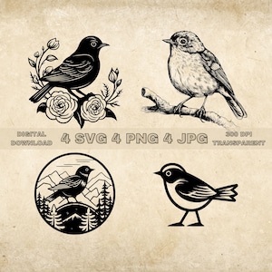 Robin Bird SVG Bundle, PNG, Bird Flower Clipart, Hand Drawn Birds Vector Illustration, SVG Files For Laser Engraving