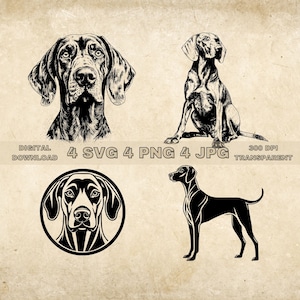 Vizsla SVG Bundle, PNG, Cute Dogs Clipart, Ilustración de vectores de perros dibujados a mano, Archivos SVG para grabado láser