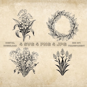 Lily Of The Valley SVG Bundle, PNG, Floral Clipart, Hand Drawn Flowers Graphic Illustration, SVG Files For Laser Engraving