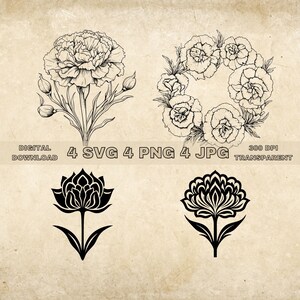 Carnation SVG Bundle, PNG, Floral Clipart, Hand Drawn Flowers Graphic Illustration, SVG Files For Laser Engraving