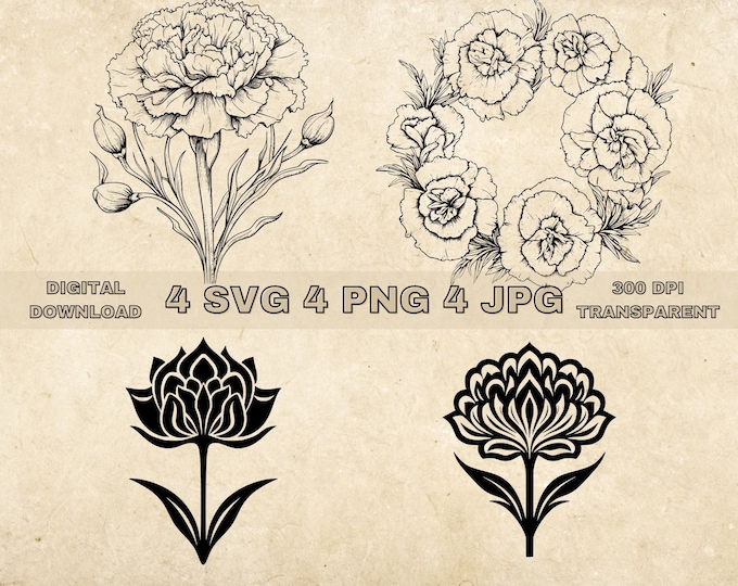 Hand Drawn Carnation Flower Line Art Clipart (PNG) - Etsy Canada