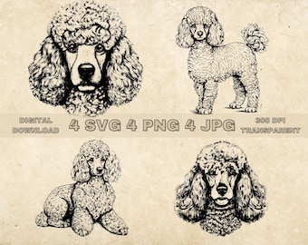 Poodle SVG Bundle, PNG, Cute Dogs Clipart, Hand Drawn Dog Vector Illustration, SVG Files For Laser Engraving