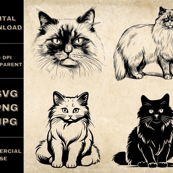 Ragdoll Cat SVG Bundle, PNG, Cat Face Clipart, Hand Drawn Ragdoll Cat Vector Illustration, SVG Files For Laser Engraving