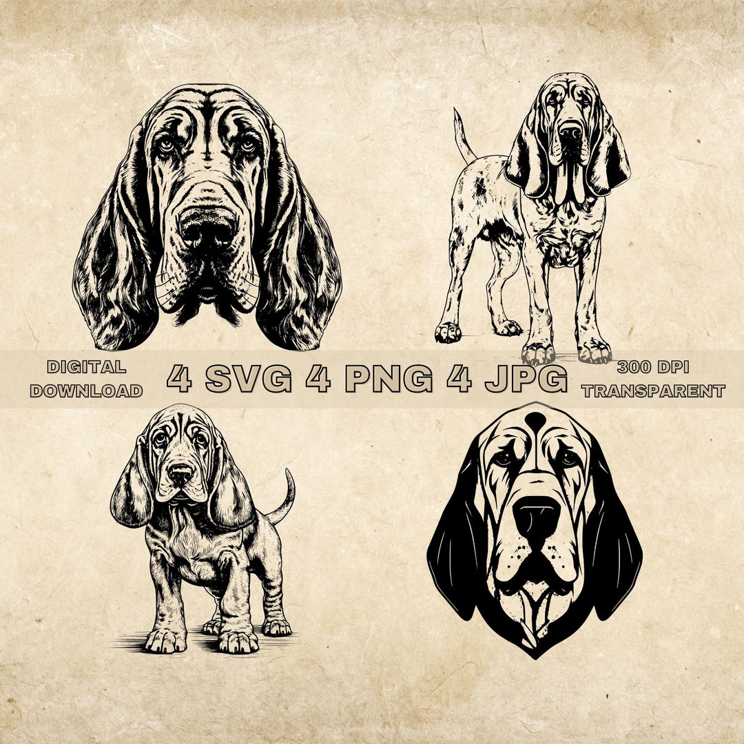 Bloodhound SVG Bundle, PNG, Bloodhound Clipart, Hand Drawn Dog Vector ...