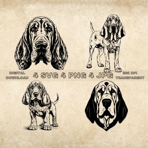 Bloodhound SVG Bundle, PNG, Bloodhound Clipart, Hand Drawn Dog Vector Illustration, SVG Files For Laser Engraving