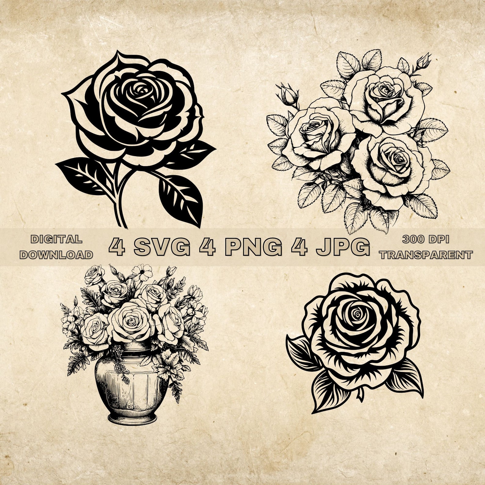 Rose SVG Bundle PNG Rose Flower Clipart Cut Files Floral - Etsy