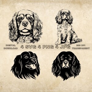 Cavalier King Charles Spaniel SVG Bundle, PNG, süße Hunde Clipart, handgezeichnete Hund Vektor Illustration, SVG-Dateien für Cricut