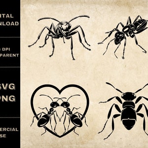 Ant SVG Bundle, PNG, Bug Clipart, Hand Drawn Insect Vector Illustration, SVG Files For Laser Engraving
