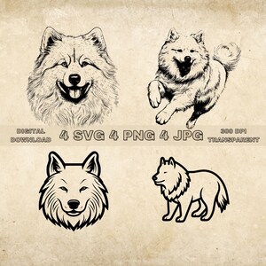 Samoyed SVG Bundle, PNG, Dogs Clipart, Hand Drawn Dog Vector Illustration, SVG Files For Laser Engraving