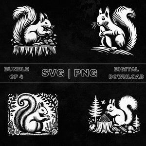 Squirrel SVG Bundle, Squirrel Nuts Clipart, Hand Drawn Squirrel Scene Theme Vector Illustration, PNG Files For Laser Engraving & Craft