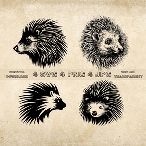 Porcupine SVG Bundle, PNG, Porcupine Clipart, Hand Drawn Porcupine Vector Illustration, SVG Files For Laser Engraving