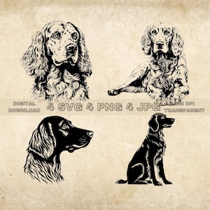 English Setter SVG Bundle, PNG, Cute Dogs Clipart, Hand Drawn Dog Vector Illustration, SVG Files For Laser Engraving