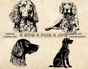 Paquete SVG de Setter inglés, PNG, imágenes prediseñadas de perros lindos, ilustración de vectores de perros dibujados a mano, archivos SVG para grabado láser