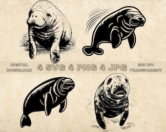 Manatee SVG Bundle, PNG, Manatee Clipart, Hand Drawn Manatee Vector Illustration, SVG Files For Laser Engraving