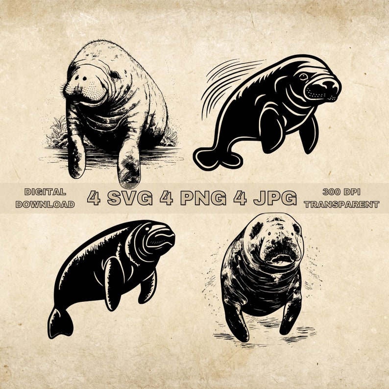 Manatee SVG Bundle PNG Manatee Clipart Hand Drawn Manatee - Etsy