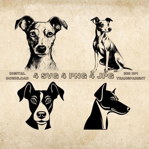 Pacchetto SVG levriero italiano, PNG, Cute Dogs Clipart, Illustrazione vettoriale cane disegnato a mano, File SVG per incisione laser
