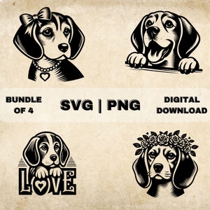 Puede incluir: Un paquete de cuatro ilustraciones digitales en blanco y negro de un perro beagle. El beagle se muestra en cuatro poses diferentes: con un lazo, mirando por encima de una superficie, con una corona de flores y con la palabra "LOVE" en una fuente estilizada. El texto "Bundle of 4" y "SVG | PNG" también se incluye en la imagen.