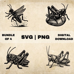 May include: A set of four black and white vector illustrations of grasshoppers. The illustrations are in a vintage style and feature detailed linework. The grasshoppers are shown in various poses, including jumping, resting, and eating.