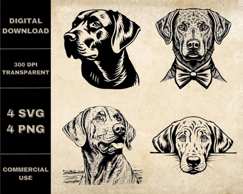 Chesapeake Bay Retriever SVG Bundle PNG Dog Lover Clipart - Etsy