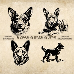 Australischer Rinder Hund SVG Bundle, PNG, niedliche Hunde Clipart, handgezeichnete Hund Vektor Illustration, SVG-Dateien für die Lasergravur