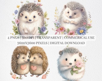 Floral Hedgehog Clipart, Hedgehog PNG Files For Sublimation, Hedgehogs Clip Art, Hedgehog Prints, Printable Wall Art, Commercial Use