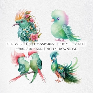 Quetzal Clipart, Quetzal PNG Files For Sublimation, Colorful Birds Clip Art, Quetzal Print, Printable Wall Art, Commercial Use